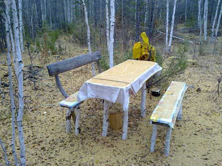 Стол в лесу